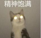 �����������ޱ������޷�����Ϊ��ů�ֱ��ˣ������������ڣ�