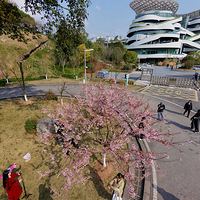 ԰��԰ɹ̫��