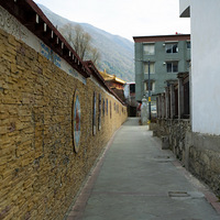 ��ǰ����Ұ�������ɱ����