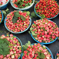 ����֦��ʵ����ˮ������