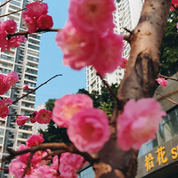 ���ʱ��Ŀ���