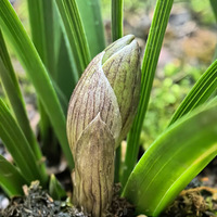 ��û�������������ѣ�