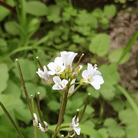 ��ϲ������С�黨����