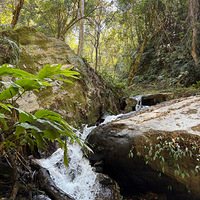 ���˷�Ļ���ȥ����ȥ�ĵط����ڳ�-����-����-����