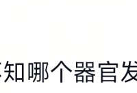 ʲô������ؼ����������ݲ�֪����ô�У����óƺ������ܹ�ʽ��