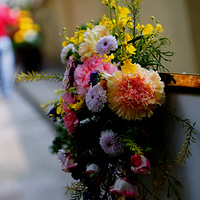 ���봺�ڻ�չ