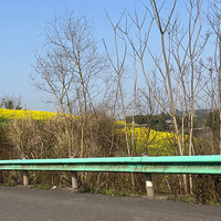 ���ճ�����˫����