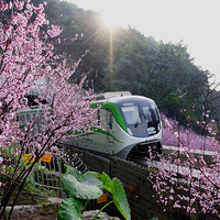 ����������г��ѳ���