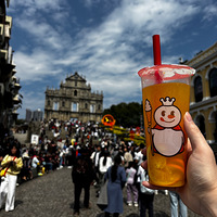 2026�㶫׷���ճ�֮��