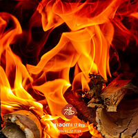 �����ƽ��������