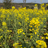 �������ˣ���������