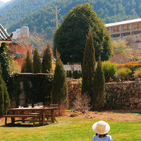 ǿ��֢��ǰһ�����г̣����ڴ��������Լ���ȿ�