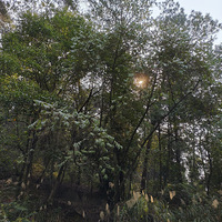 ͽ�����յ�����