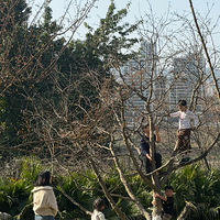 2.24����¶Ӫ���ܺ���