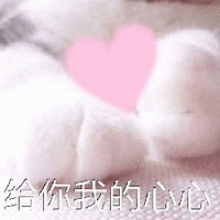 ��225ֵ������ɽ�޵��ڿ�3��24.9��������������һ�����279