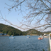 ƻ��13 ProתOPPO Find X9 Proʹ�øз�����