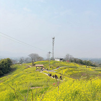 �������䡿�����ۻ���ȥ���Ͳ˻�����