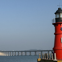 2026���ǡ�÷��9��8�����ڳԺ���