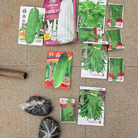 ������ʼ��~