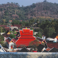 ����һ�괺���� ����弹���ϴ��