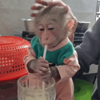 ��226ֵ����ܽ����˿����ˮ����װ81��ˮ��ʿЬ���������2ƿ15