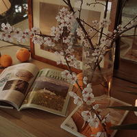 ����Ȼ������