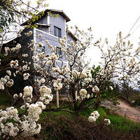 ͽ��ӣ�ҹȣ���������ʱ��