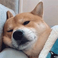 ��228ֵ���� ά�����ͳ�ֽ20��23.5���߽�˿͸����˯��12��21