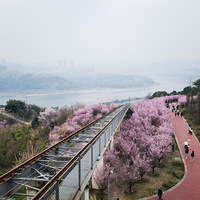 �����Ҫ������