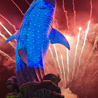 �麣��¡�������˯����1350Ԫ2��2��Ʊ��ס�޺����