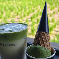 ������������ܴ���忴�Ͳ˻�ƷĨ��