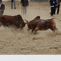 �������ˣ����26�꿪�������ᶫ��7�մ��ڣ�