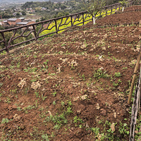 ��¼��һ�����ؿ���