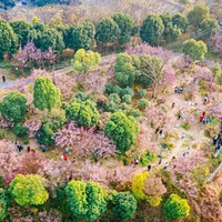 ����������ͻ�ָ�ϣ��Ͻ��ղأ�