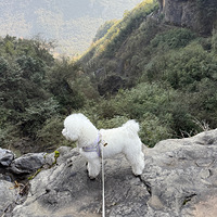 ���Ź���ͽ���ϴ�