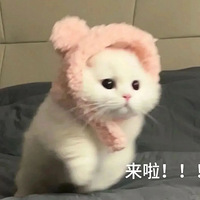 ��32ֵ���򡿡�53��������26��18.3��ޱŵ���޺�ˮ3ƿ39.9