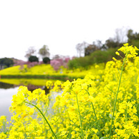 �������磬�������á�