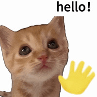 ��34ֵ��������С����������20��9.5��MissWiss�����ɹñ23.9