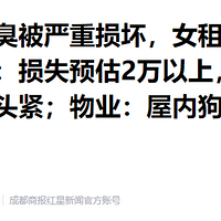 ����ɢ������������𻵣�Ů�⻧ʧ����������������