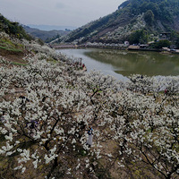 ����ڣ��ν�������������꣡