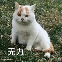 ���������������ж����ף�������Ц�����˻���������