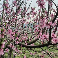 ����·�ϵ��ʻ�