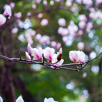 �������⴦�����ڣ������裡�����ֵ�������ֱ�ӡ����񡱣�