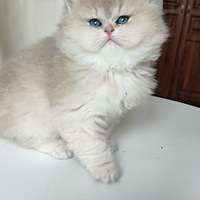 �ܰ�����ܵ���