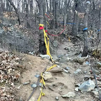 33�����Ӹ��ɷ���ɽˤ��200�����£���������ǰ�������