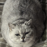 ���è���ڽӻ�����