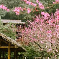 ������һ������ˣ��ߣ���ĩ��ȥ��