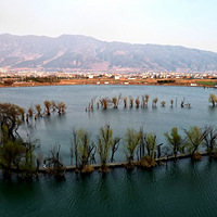 ������Ӱ�̻�ζ�������˼Ҿ��延-2026�괺�ں��콣����Դ�Լ���