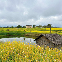 �������¡��������ӵĲ�ɫ�Ͳ˻���������