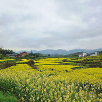 Ů���ײ����ĩ�������ͻ�����ʱ